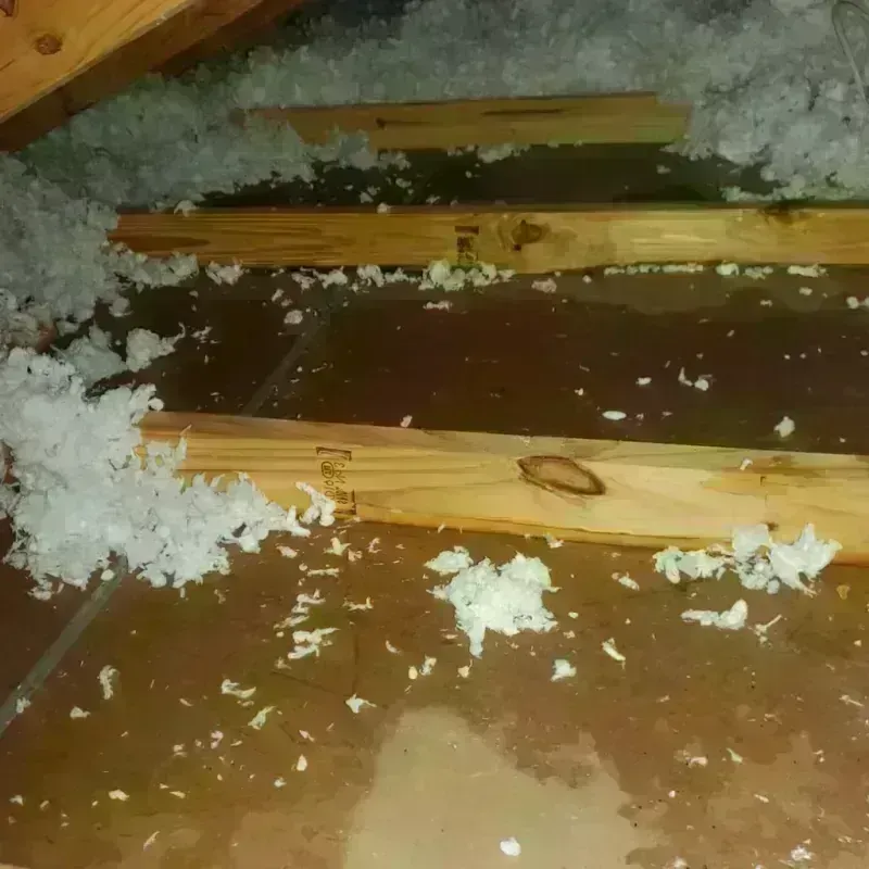 Attic Water Damage in Harlem, NY